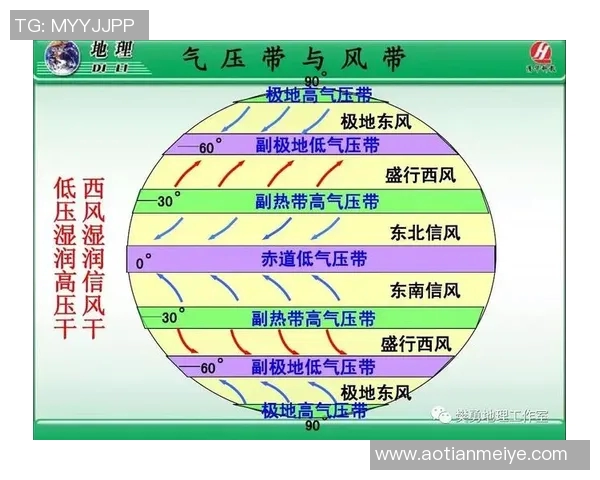 重庆排球队速度表现分析及其对比赛胜负的影响探讨